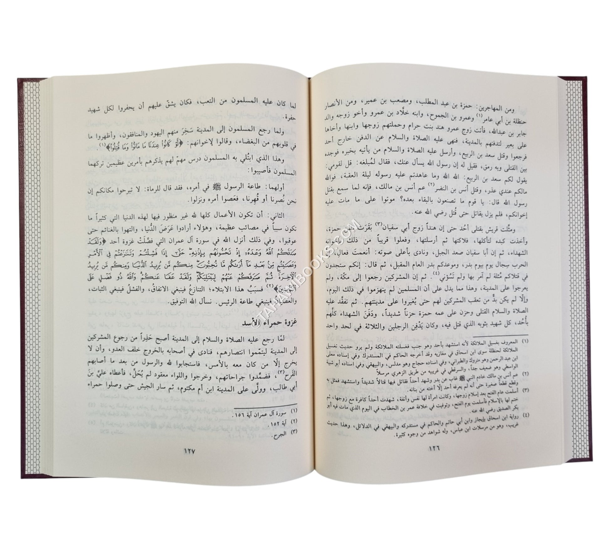 نور اليقين في سيرة سيد المرسلين-الفيحاء