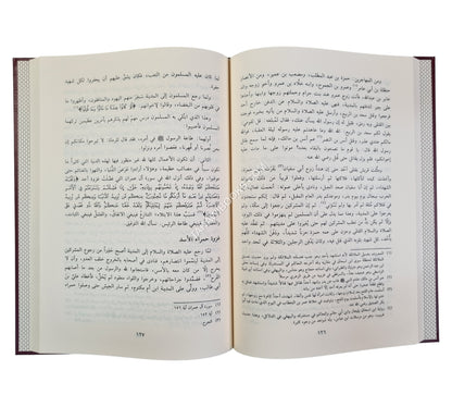 نور اليقين في سيرة سيد المرسلين-الفيحاء
