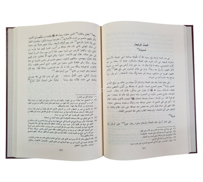 نور اليقين في سيرة سيد المرسلين-الفيحاء