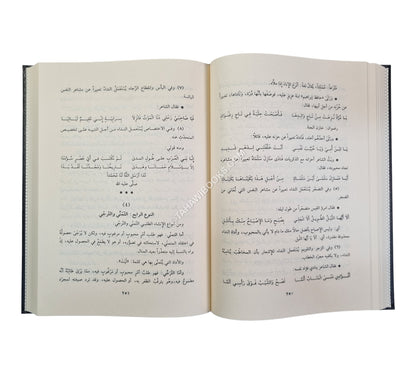 البلاغة العربية أسسها وعلومها وفنونها وصور من تطبيقها