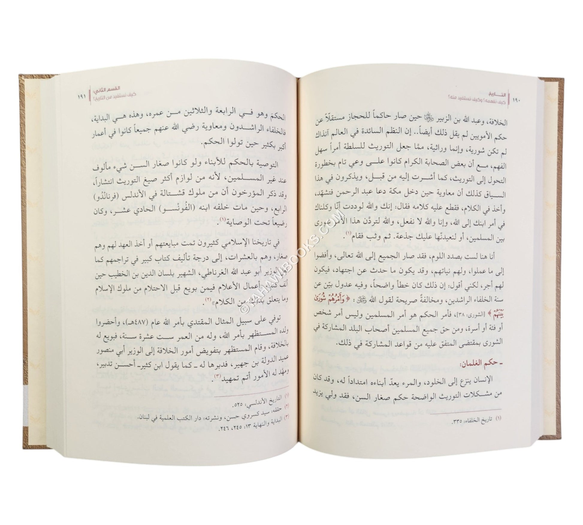 التاريخ كيف نفهمه وكيف نستفيد منه