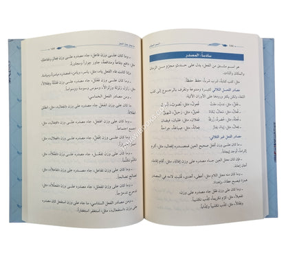 النحو الميسر وقواعد في الإملاء وعلامات الترقيم