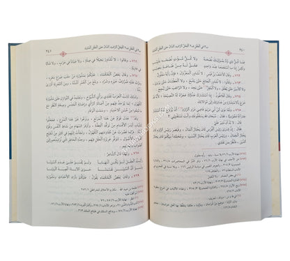 غرر الخصائص الواضحة وعرر النقائص الفاضحة