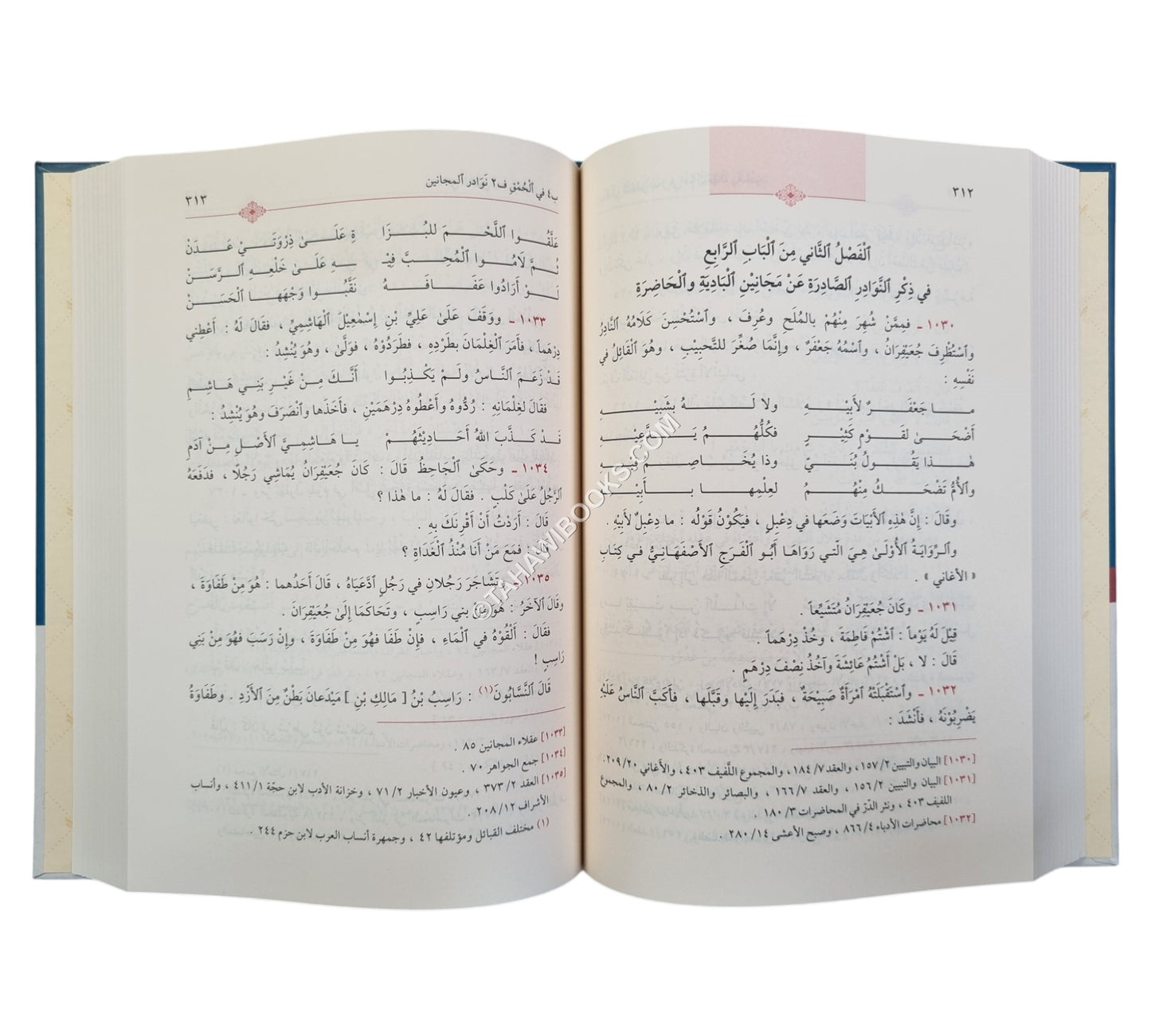غرر الخصائص الواضحة وعرر النقائص الفاضحة