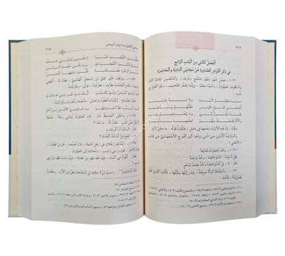 غرر الخصائص الواضحة وعرر النقائص الفاضحة