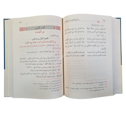 غرر الخصائص الواضحة وعرر النقائص الفاضحة