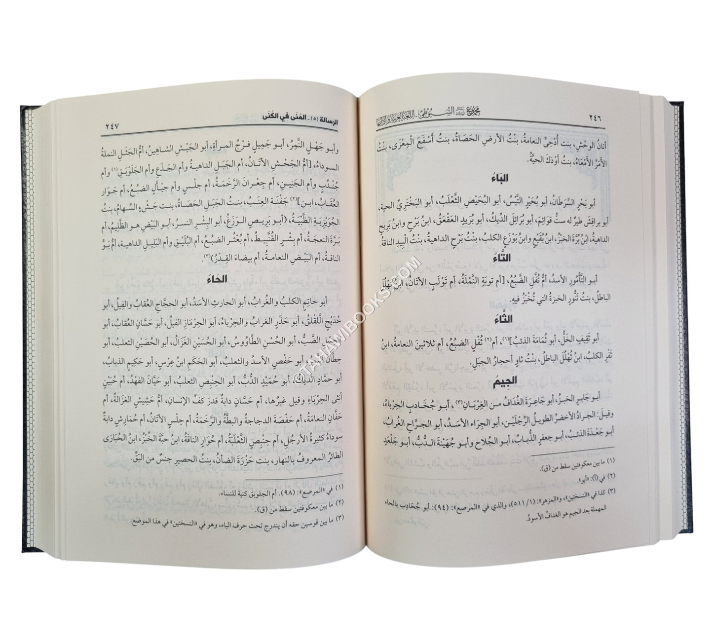 مجموع رسائل السيوطي ـ المجموعة السادسة ـ اللغة العربية وآدابها
