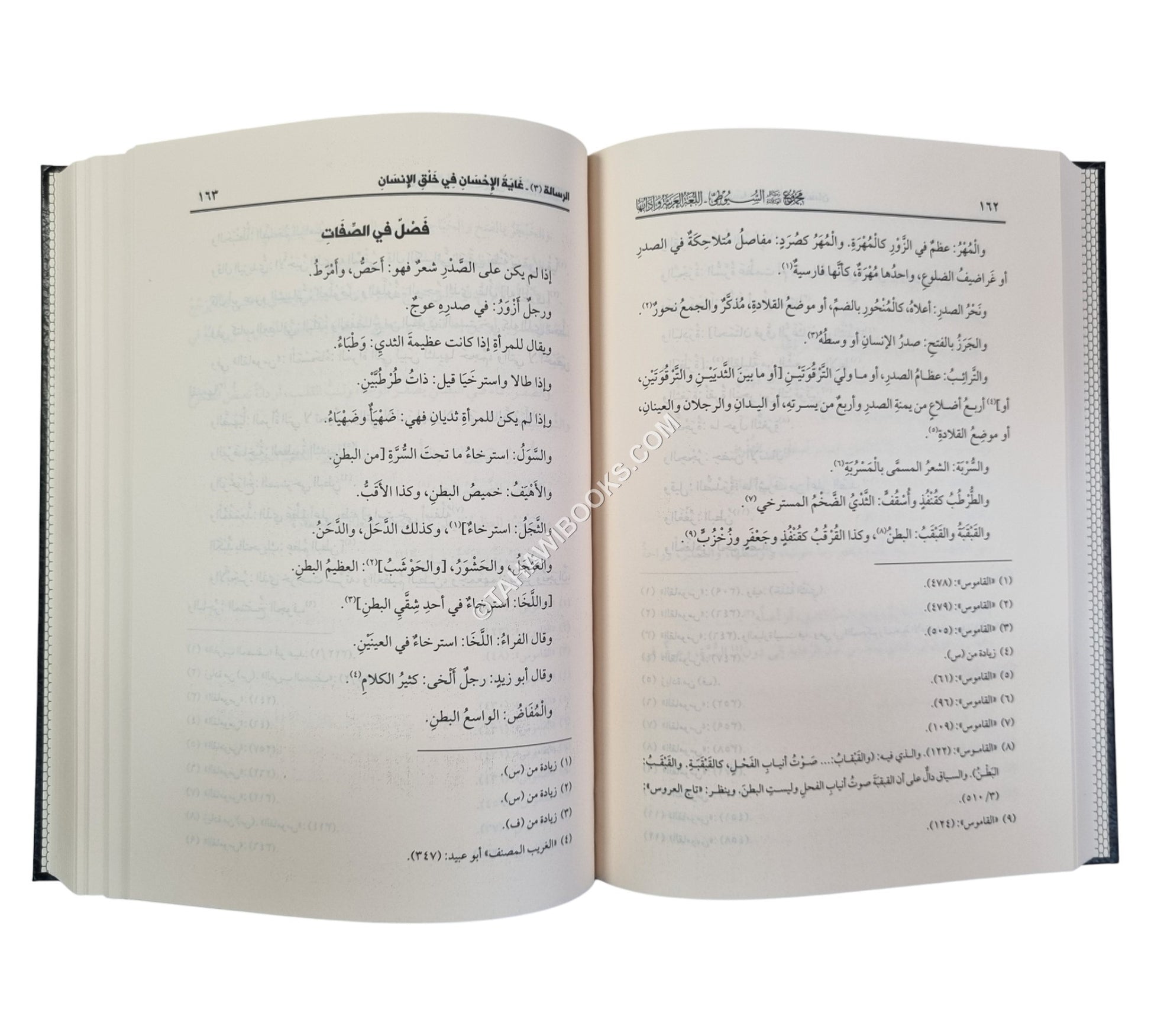 مجموع رسائل السيوطي ـ المجموعة السادسة ـ اللغة العربية وآدابها