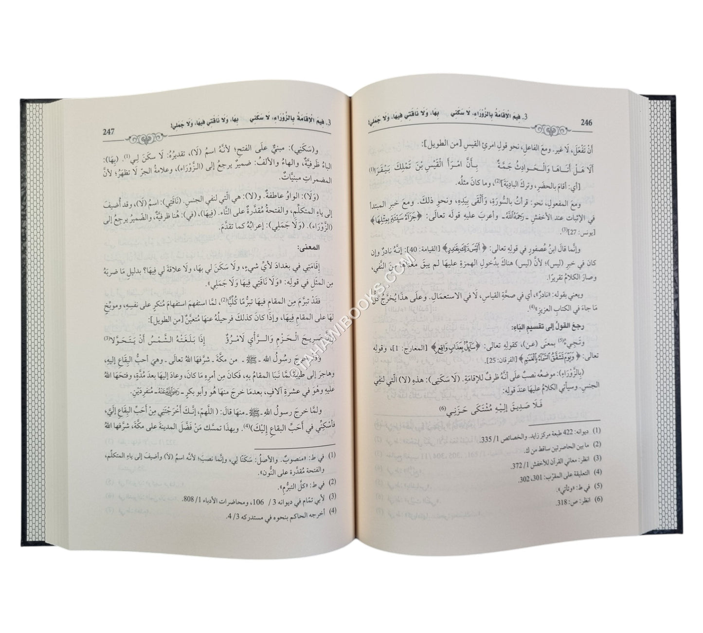 غيث الأدب الذي انسجم في شرح لامية العجم