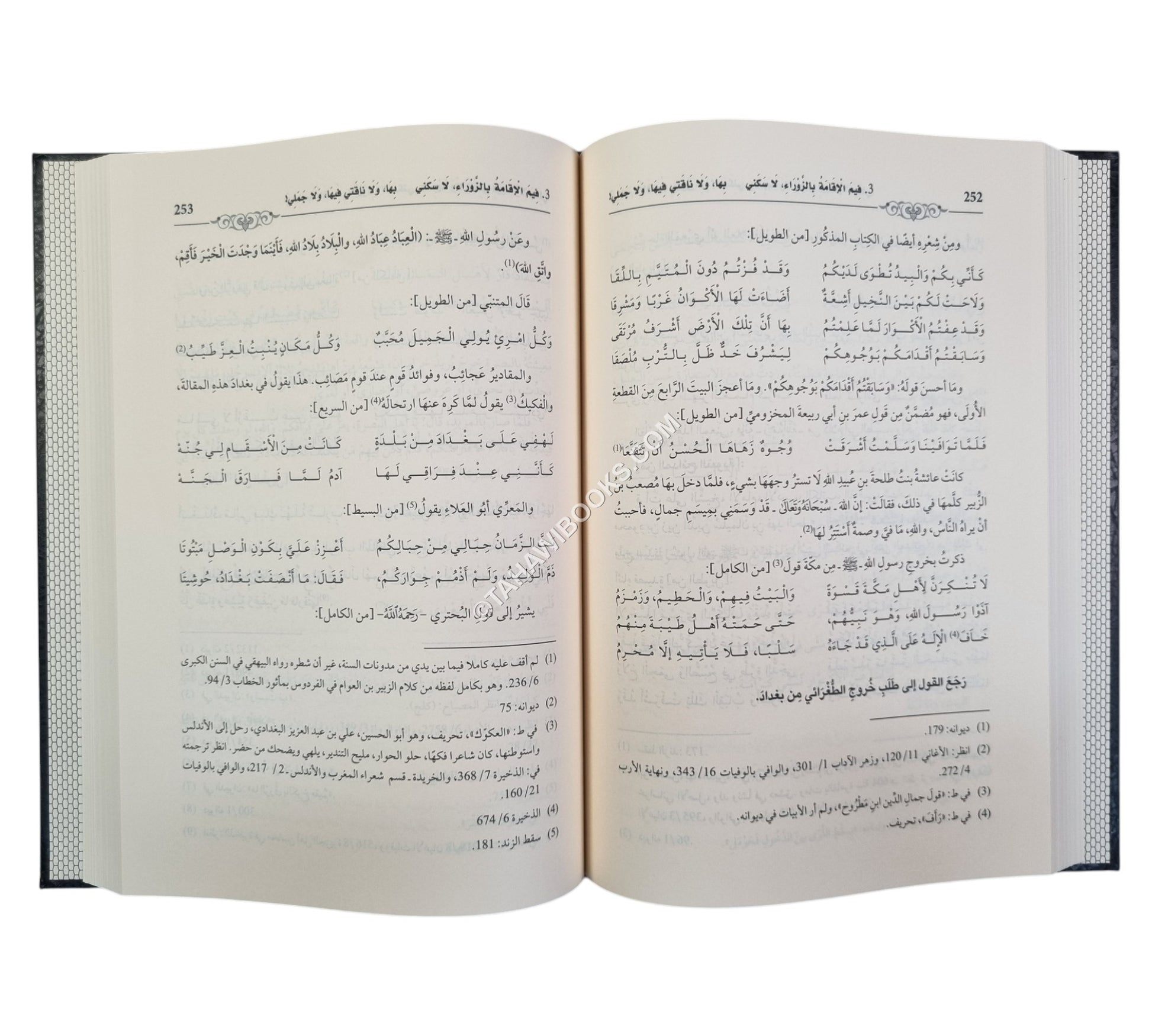 غيث الأدب الذي انسجم في شرح لامية العجم