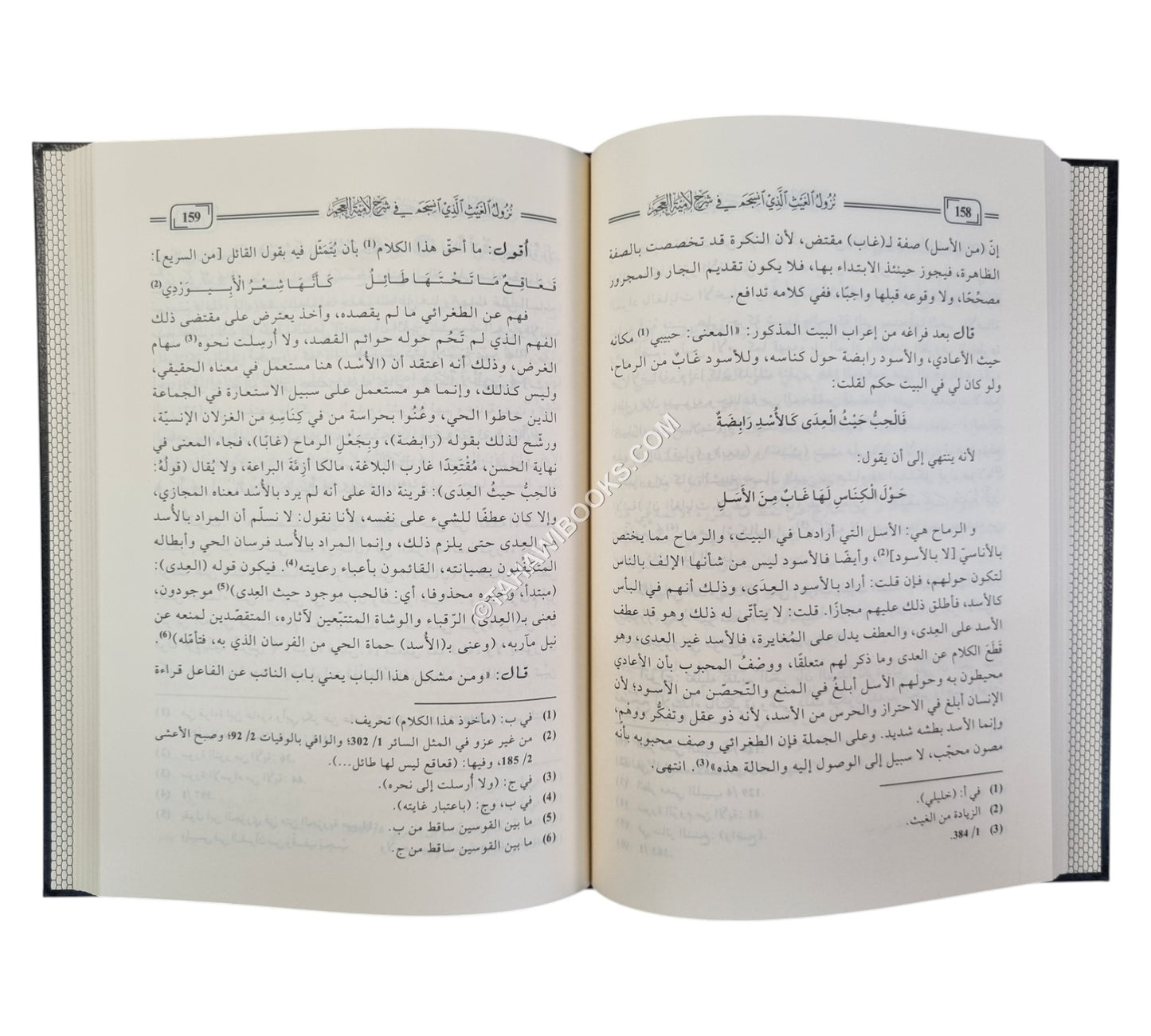نزول الغيث الذي انسجم في شرح لامية العجم