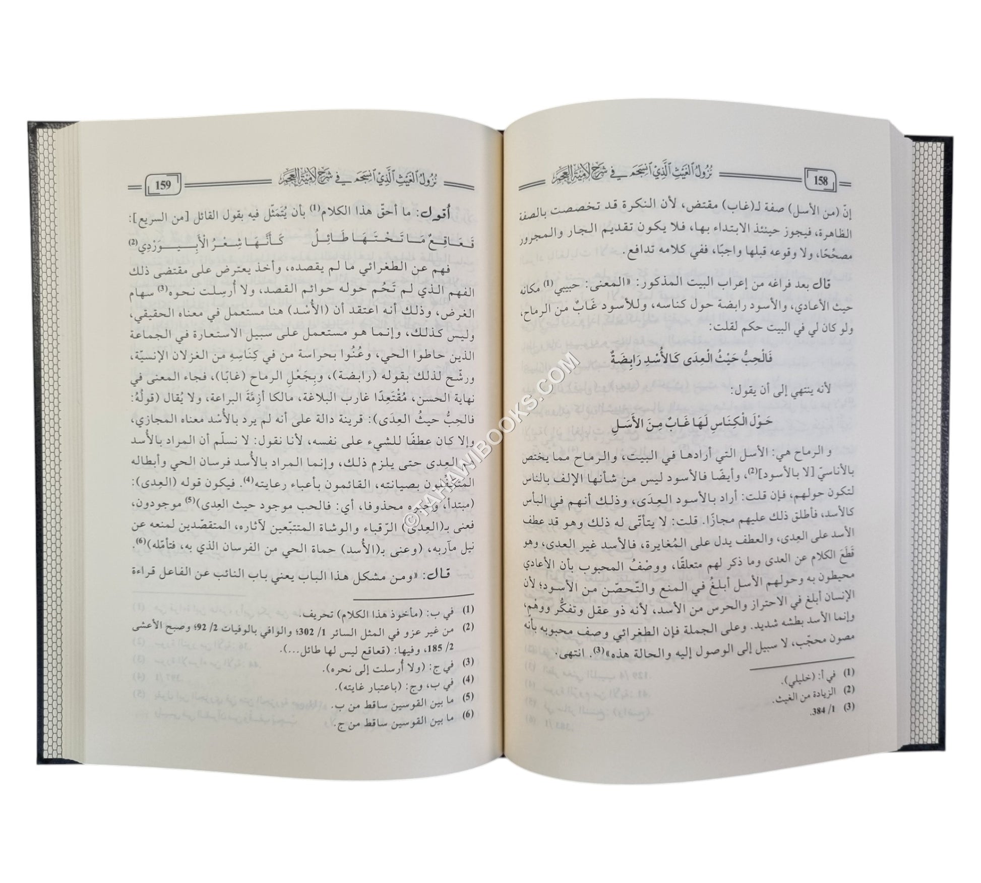 نزول الغيث الذي انسجم في شرح لامية العجم