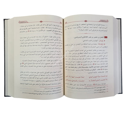 ذيل لسان الميزان
