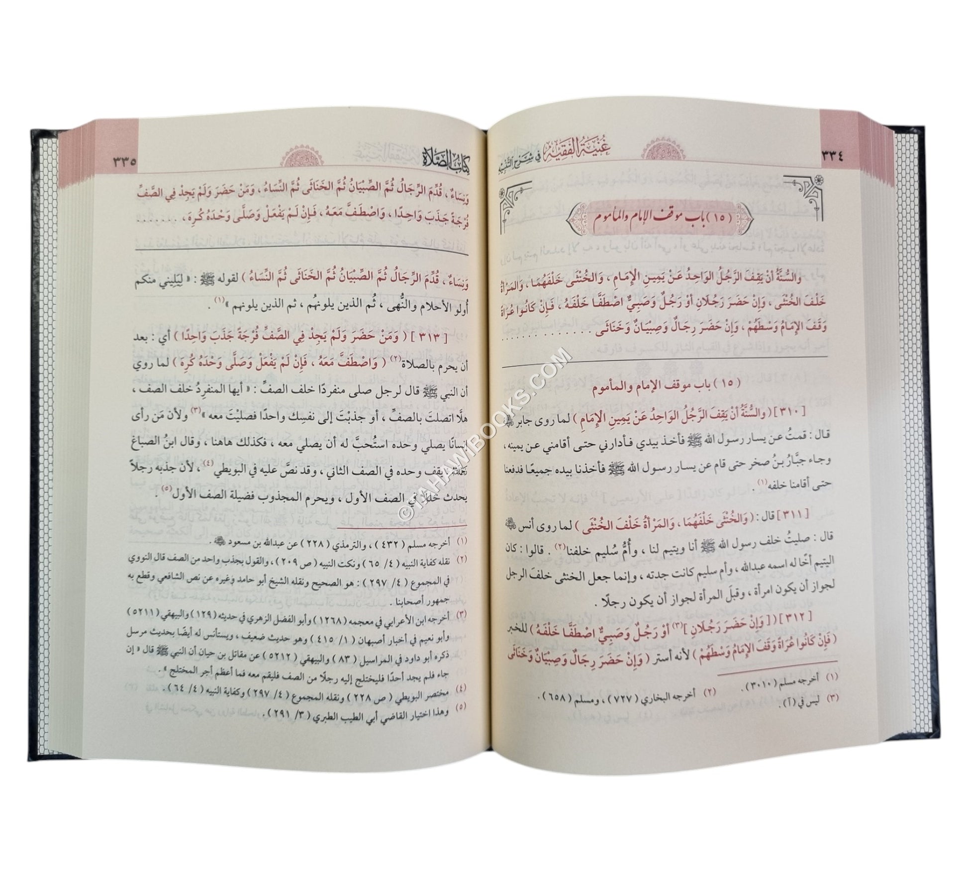 غنية الفقيه في شرح التنبيه