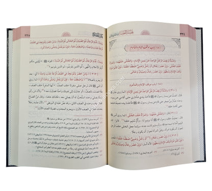 غنية الفقيه في شرح التنبيه