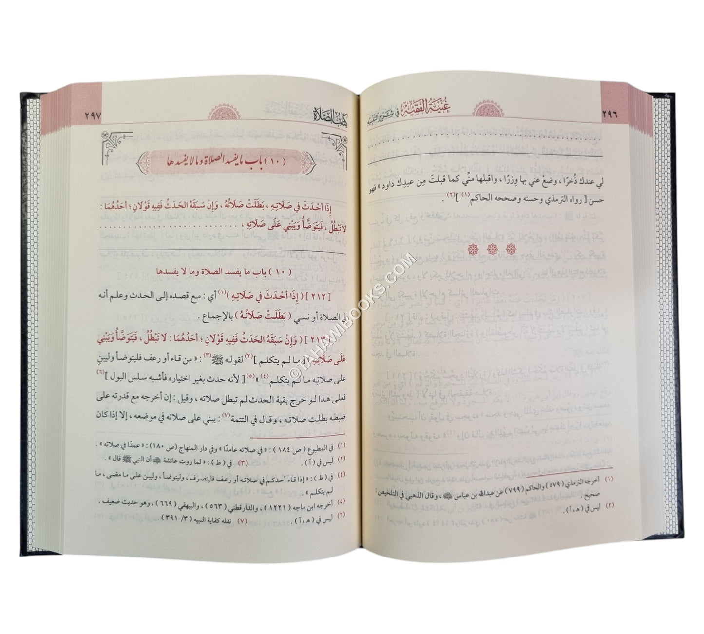 غنية الفقيه في شرح التنبيه