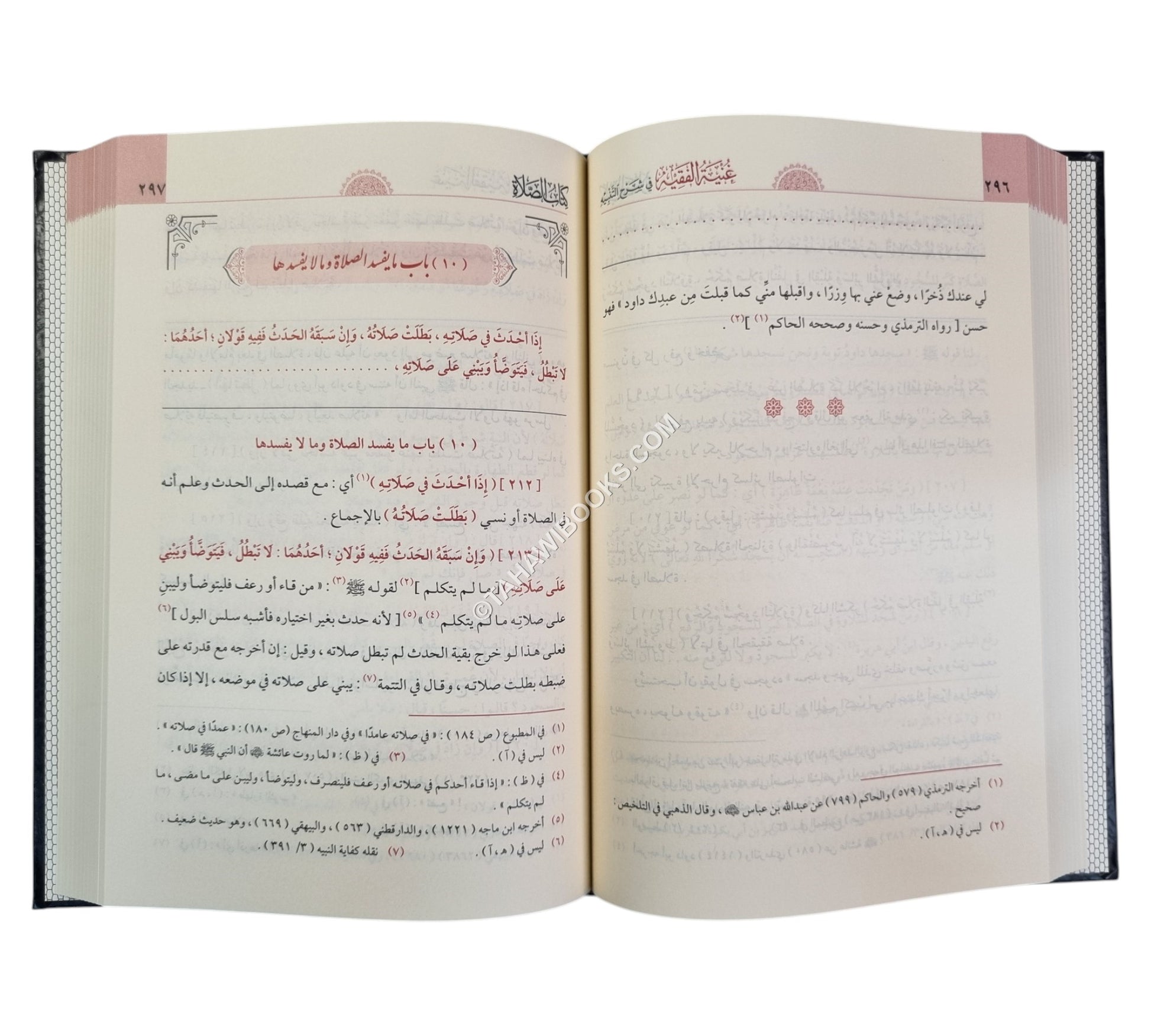 غنية الفقيه في شرح التنبيه