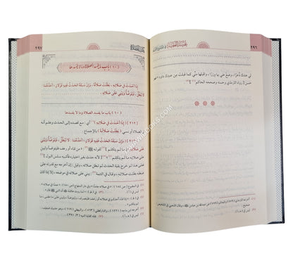 غنية الفقيه في شرح التنبيه