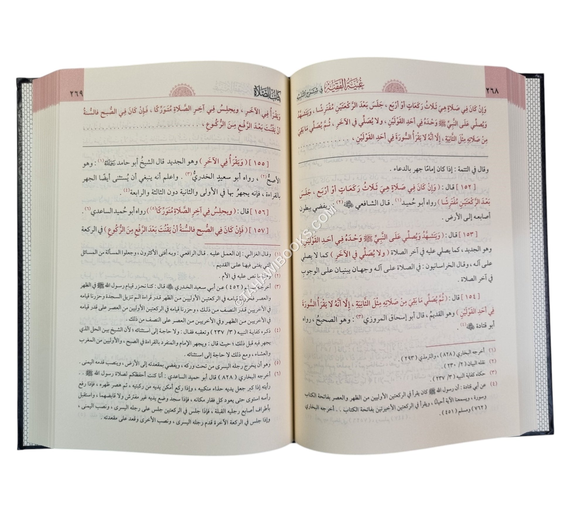 غنية الفقيه في شرح التنبيه