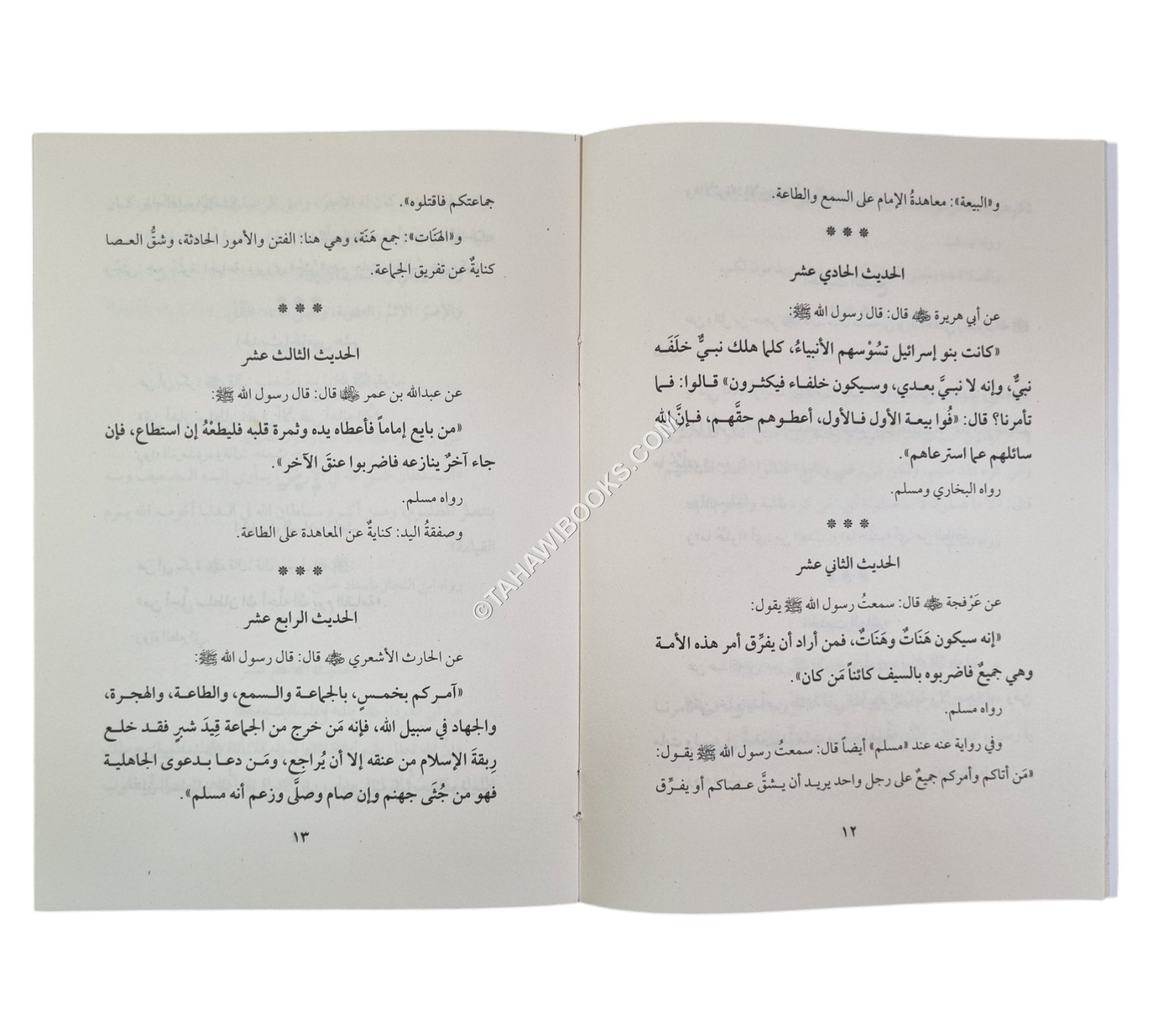 الأحاديث الأربعين في وجوب طاعة أمير المؤمنين
