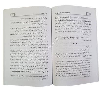 شرح حديث لا تزال طائفة من أمتي