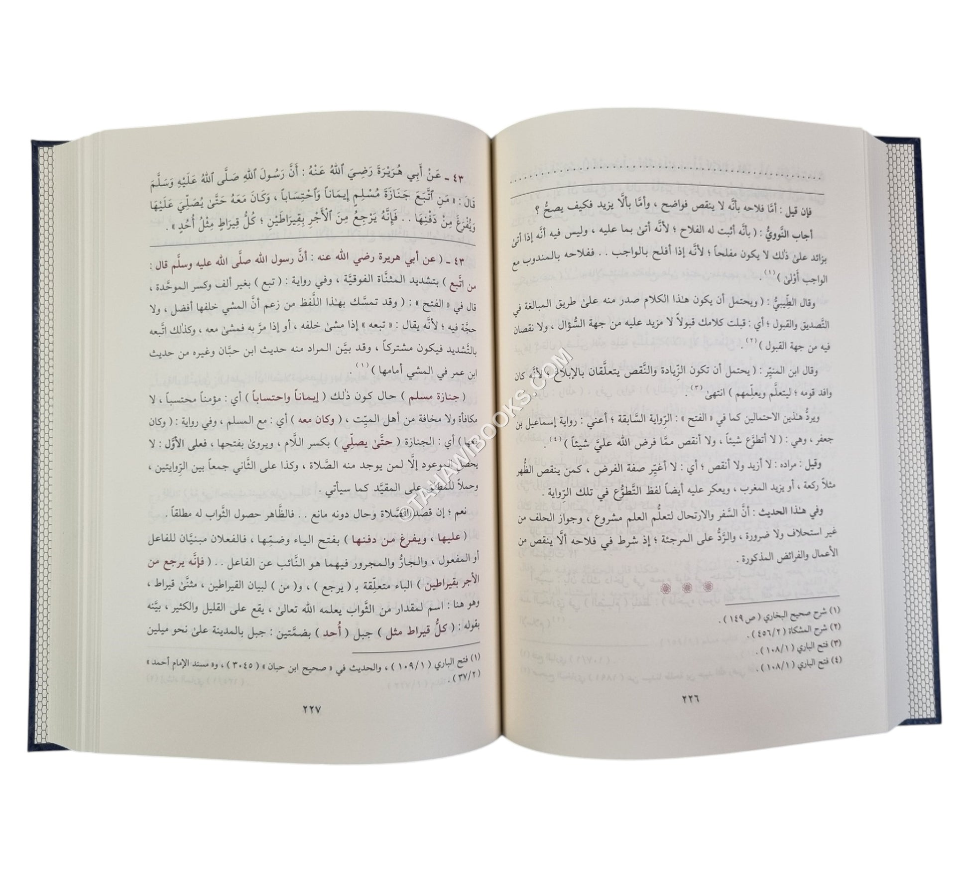 فتح المبدي بشرح مختصر الزبيدي:شرح مختصر صحيح البخاري