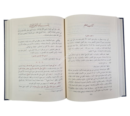 فتح المبدي بشرح مختصر الزبيدي:شرح مختصر صحيح البخاري