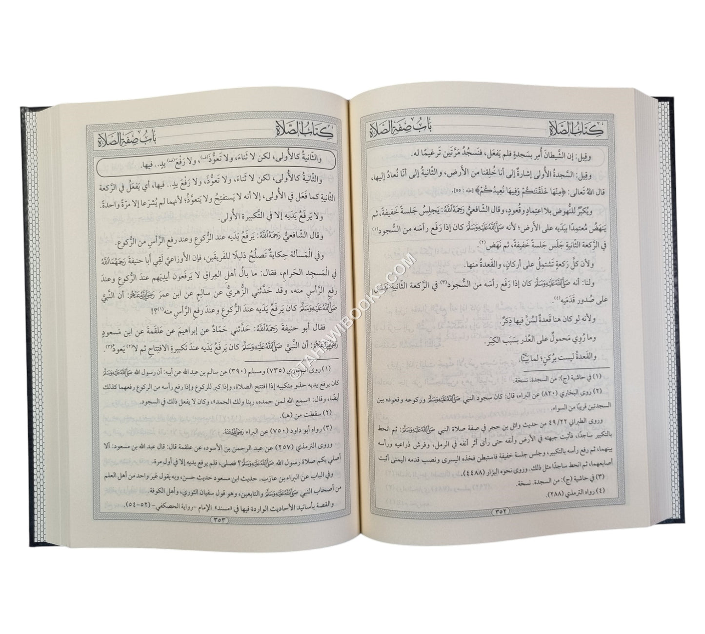 الكافي في شرح الوافي