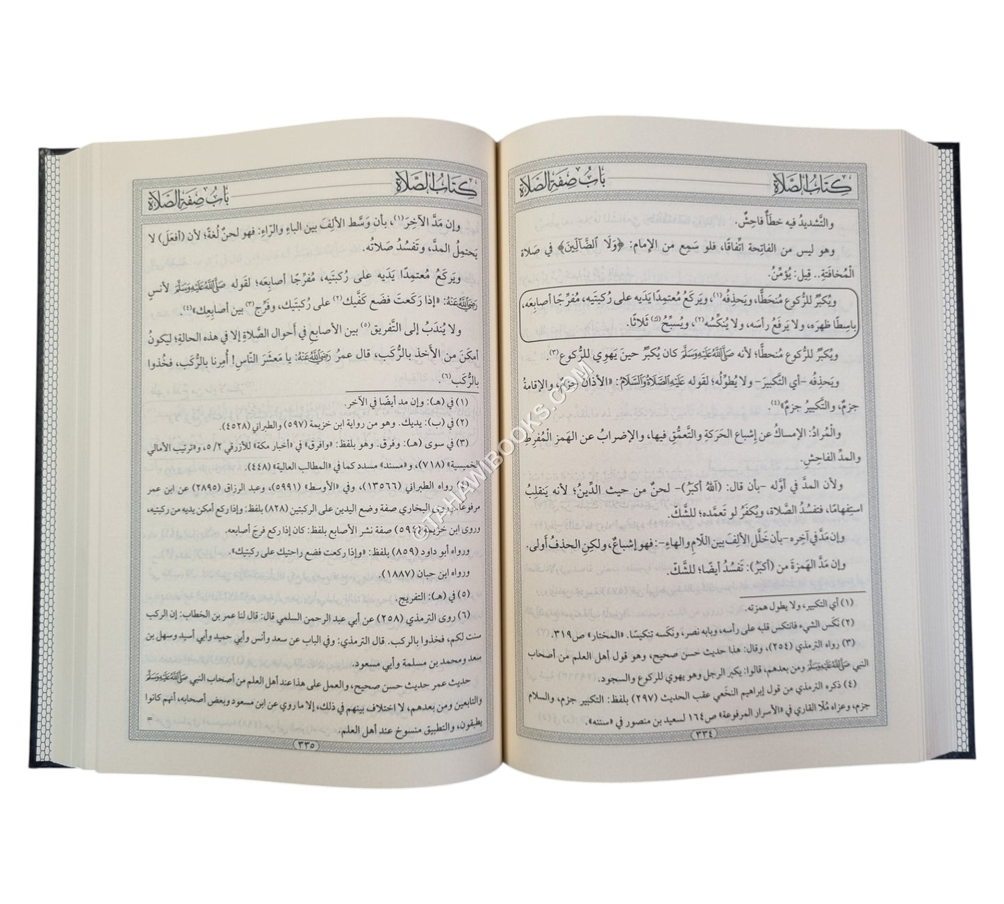 الكافي في شرح الوافي
