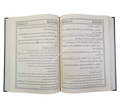 الكافي في شرح الوافي