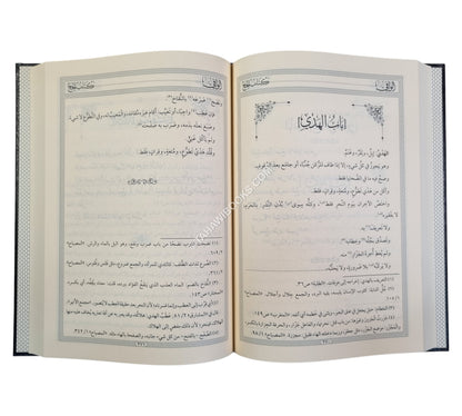 الوافي في فروع الحنفية-المنهاج القويم