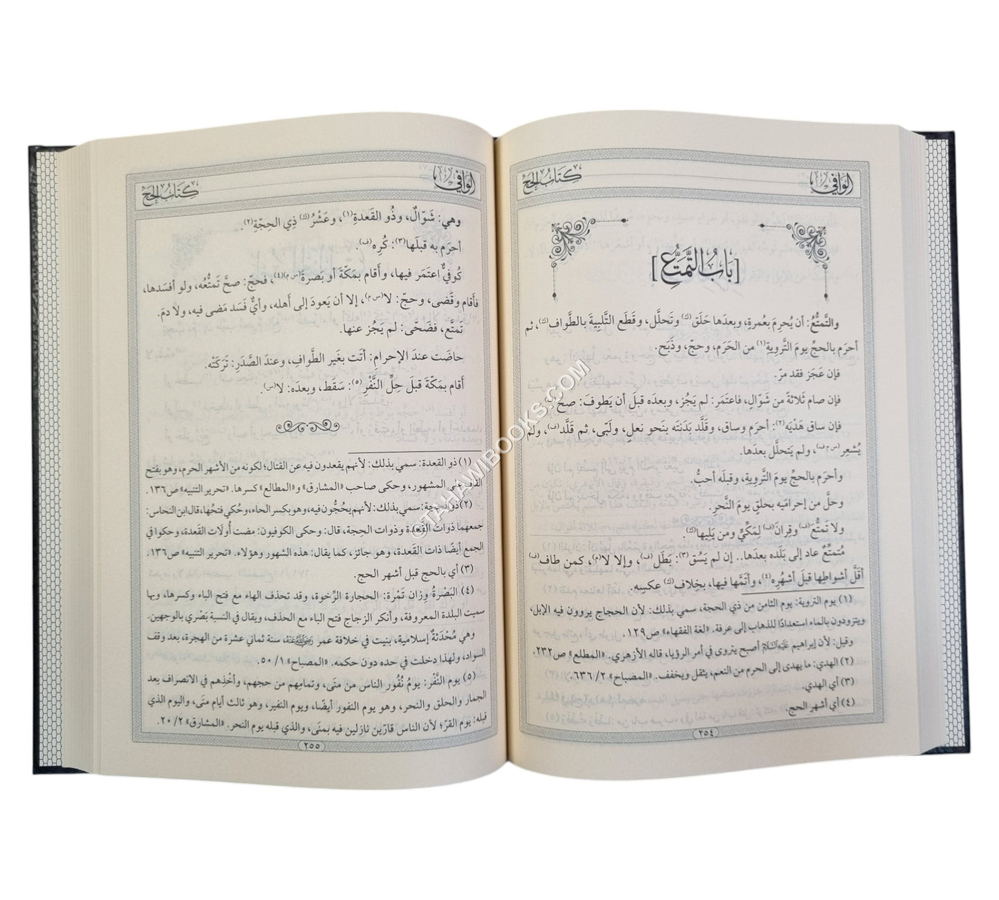 الوافي في فروع الحنفية-المنهاج القويم