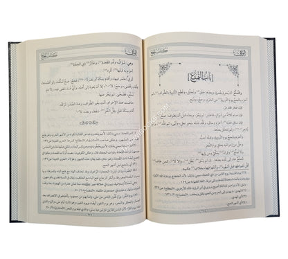 الوافي في فروع الحنفية-المنهاج القويم