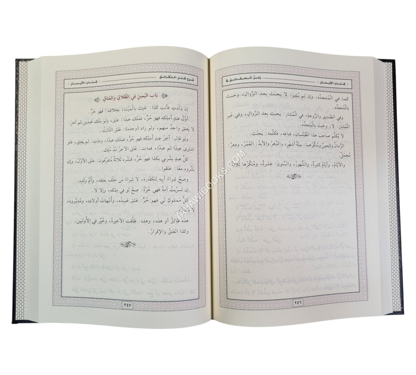 رمز الحقائق في شرح كنز الدقائق-المنهاج القويم