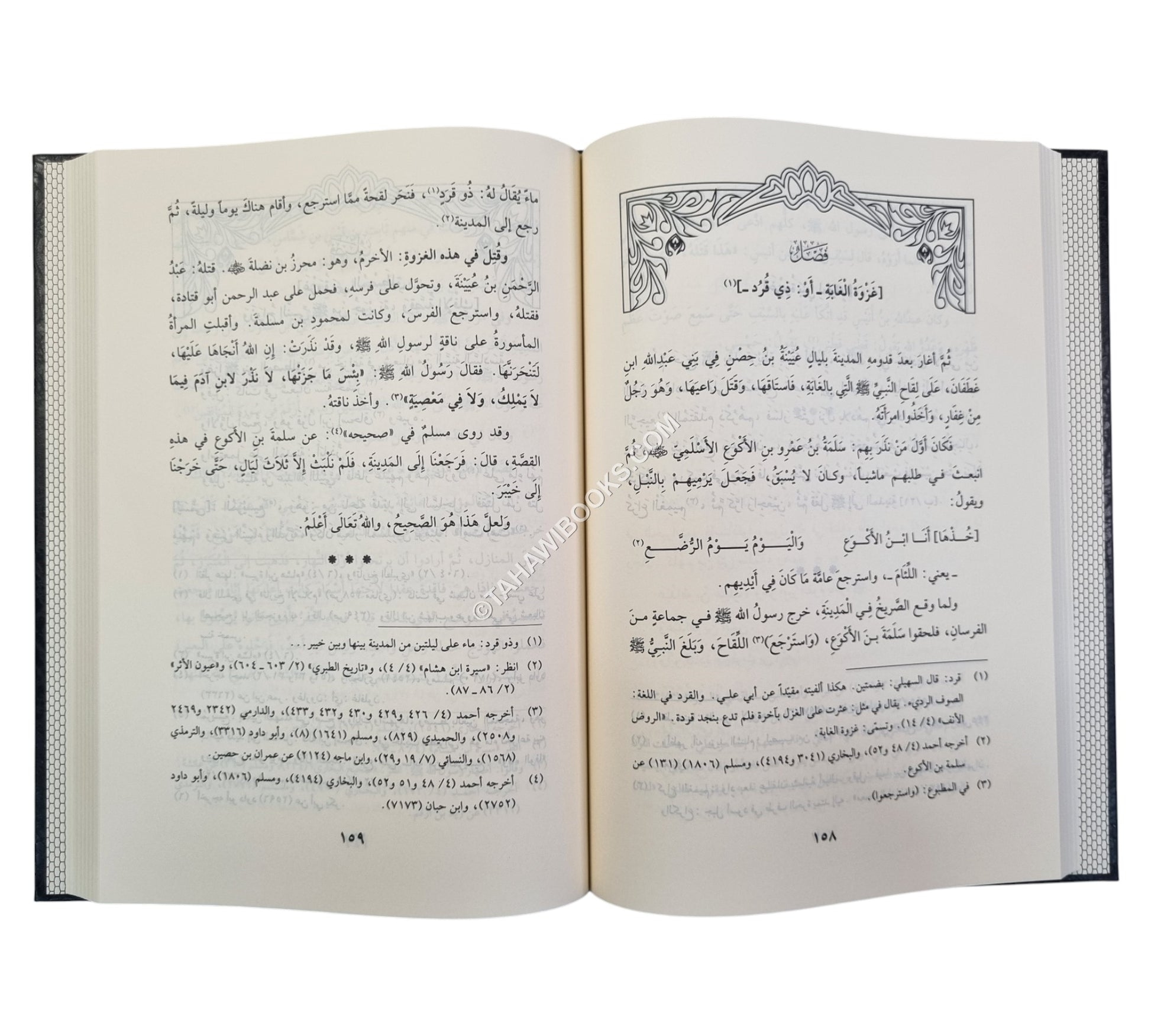 الفصول في اختصار سيرة الرسول