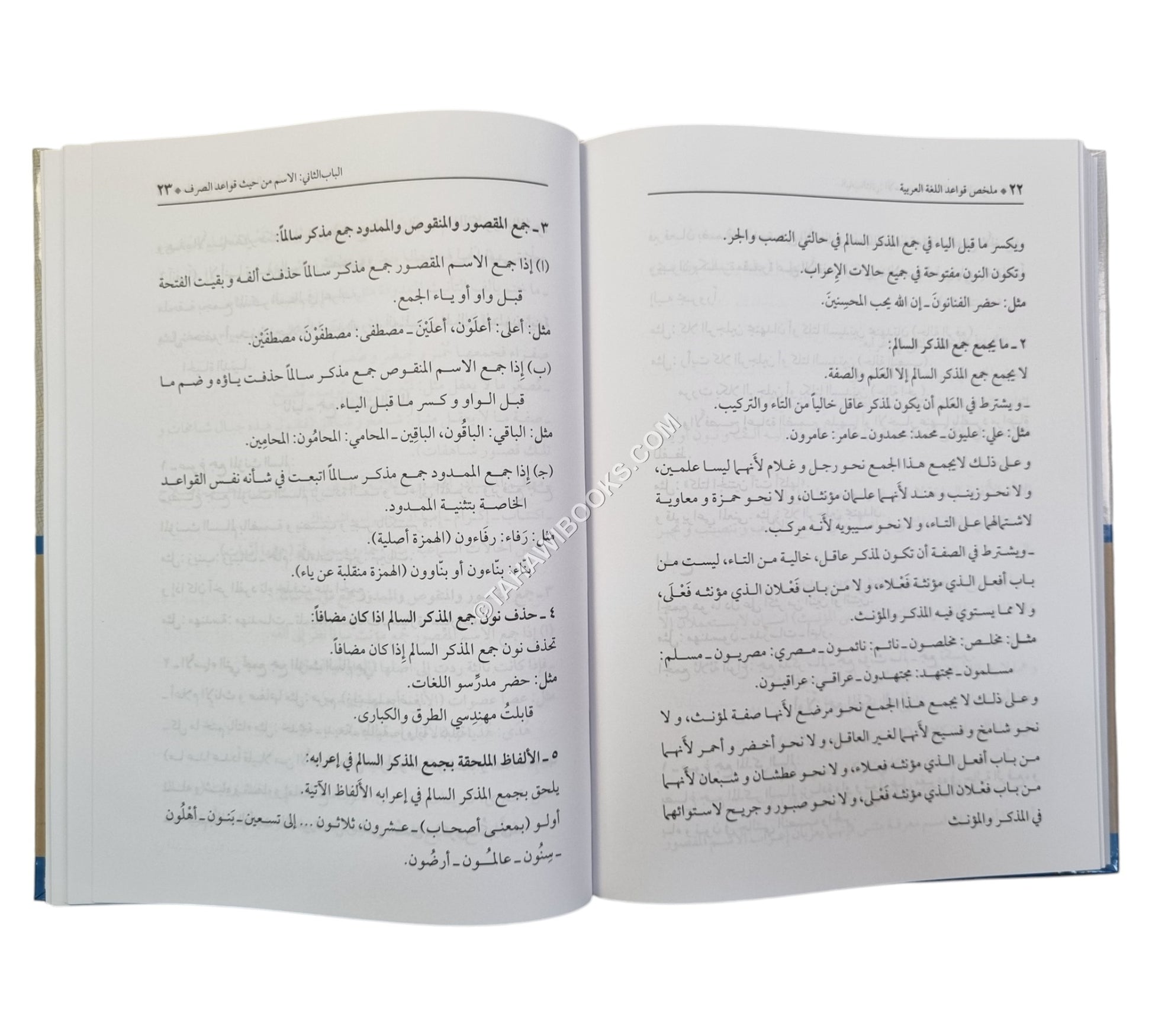ملخص قواعد اللغة العربية بثوبه الجديد