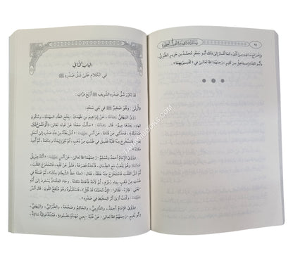 رسائل نادرة في سيرة الحبيب العطرة