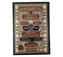 حاشية الصاوي على تفسير الجلالين-تحقيق الكتاب