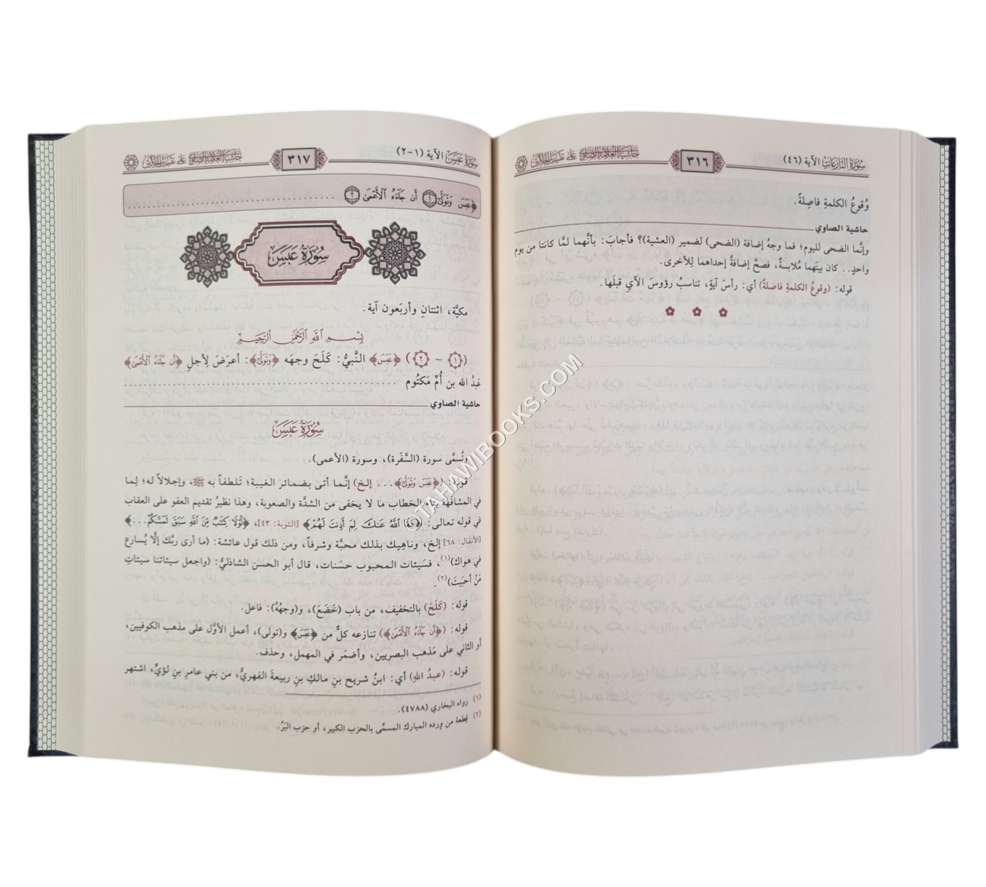 حاشية الصاوي على تفسير الجلالين-تحقيق الكتاب