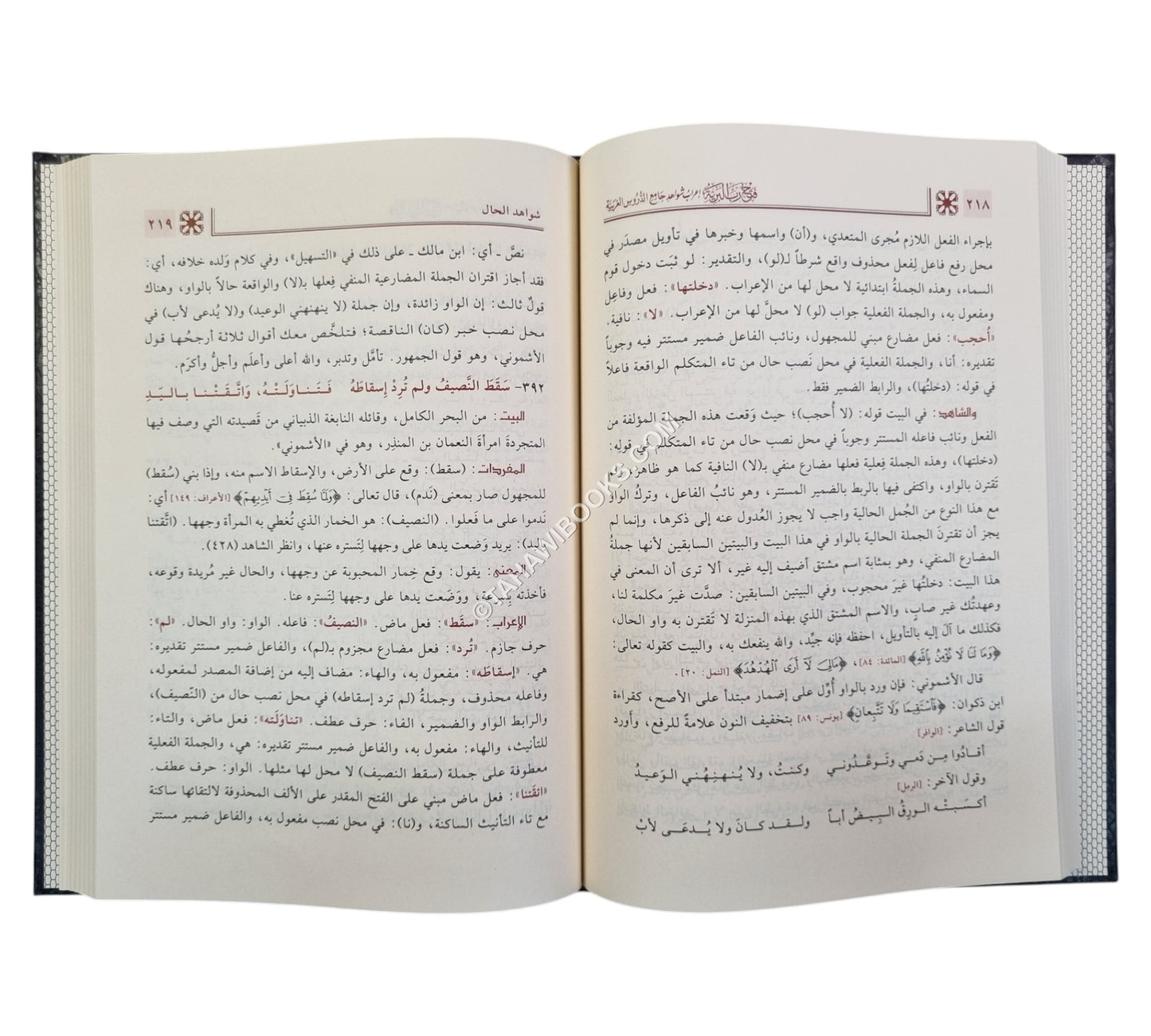 فتح رب البرية إعراب شواهد جامع الدروس العربية