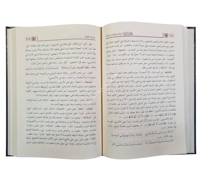 فتح رب البرية إعراب شواهد جامع الدروس العربية