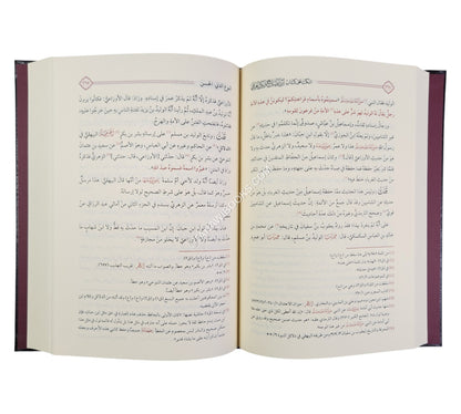 النكت على ابن الصلاح ونكت العراقي ت:ماهر الفحل-دار الحديث