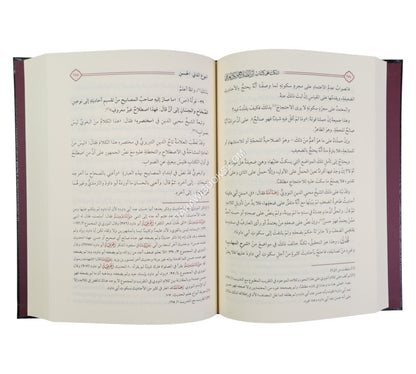 النكت على ابن الصلاح ونكت العراقي ت:ماهر الفحل-دار الحديث