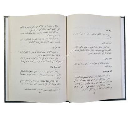 الأدب الصغير والأدب الكبير