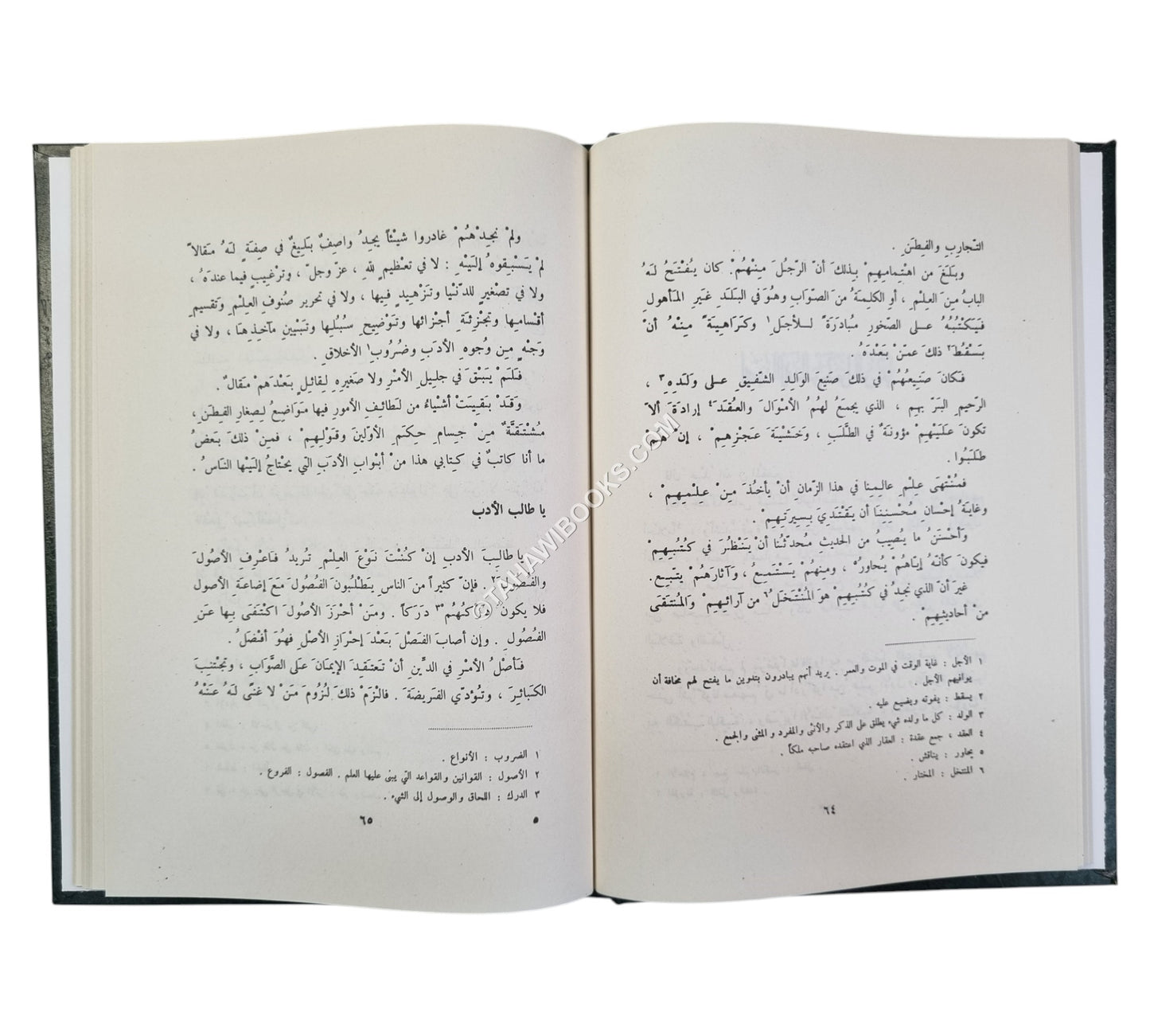 الأدب الصغير والأدب الكبير