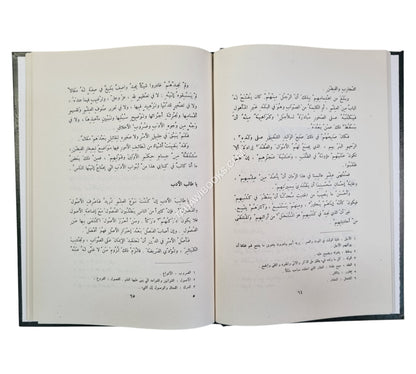 الأدب الصغير والأدب الكبير