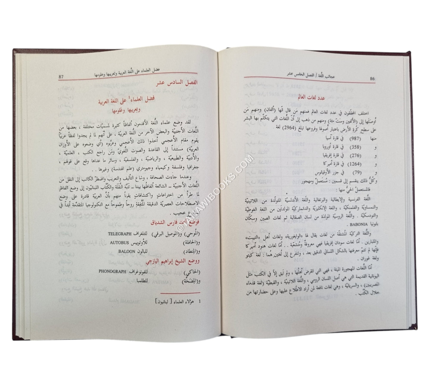 معجم عجائب اللغة