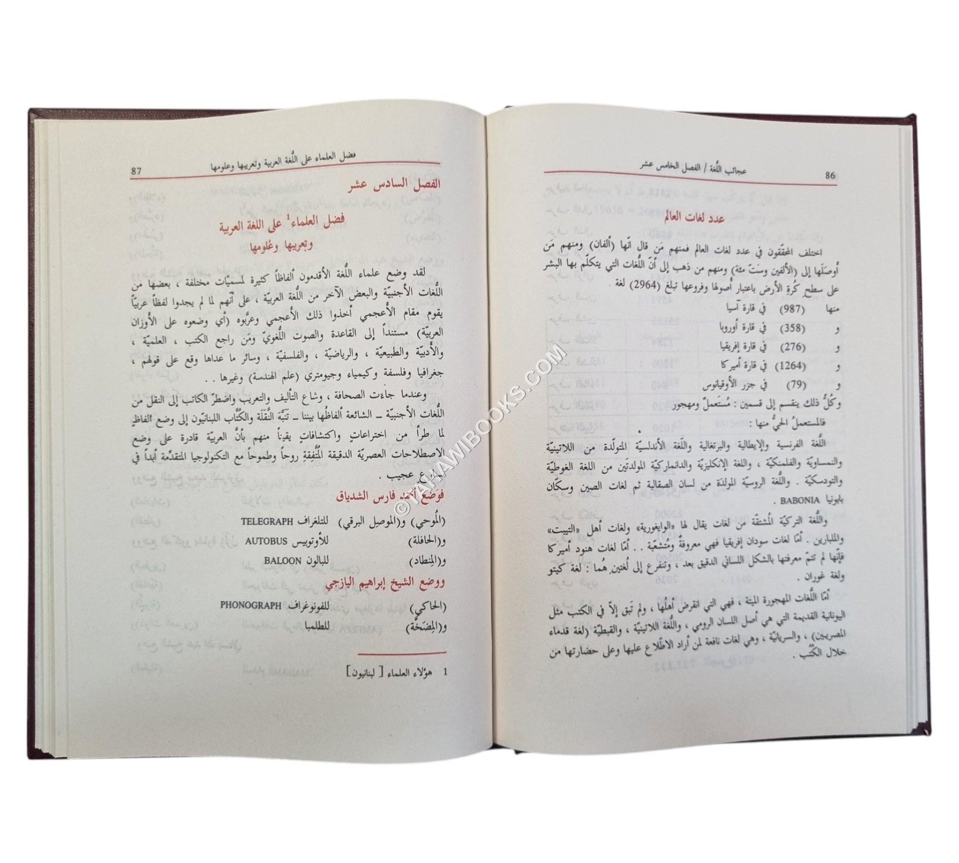 معجم عجائب اللغة