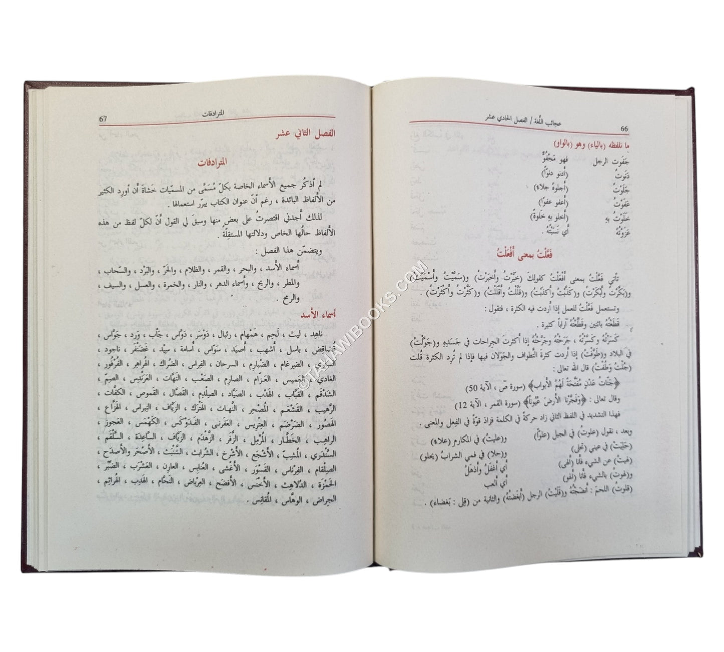 معجم عجائب اللغة
