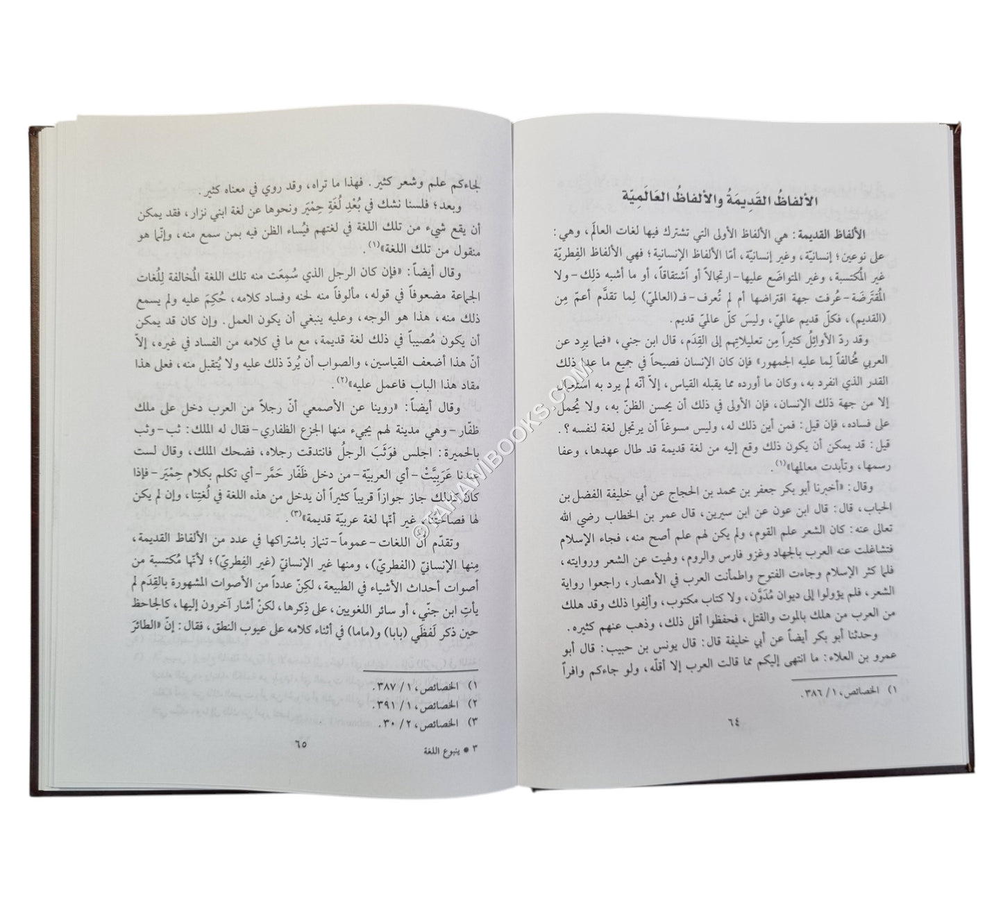 ينبوع اللغة ومصادر الألفاظ
